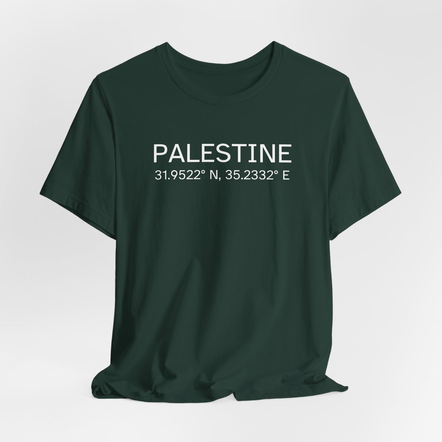 Adult | Palestine Coordinates | Short Sleeve Tee