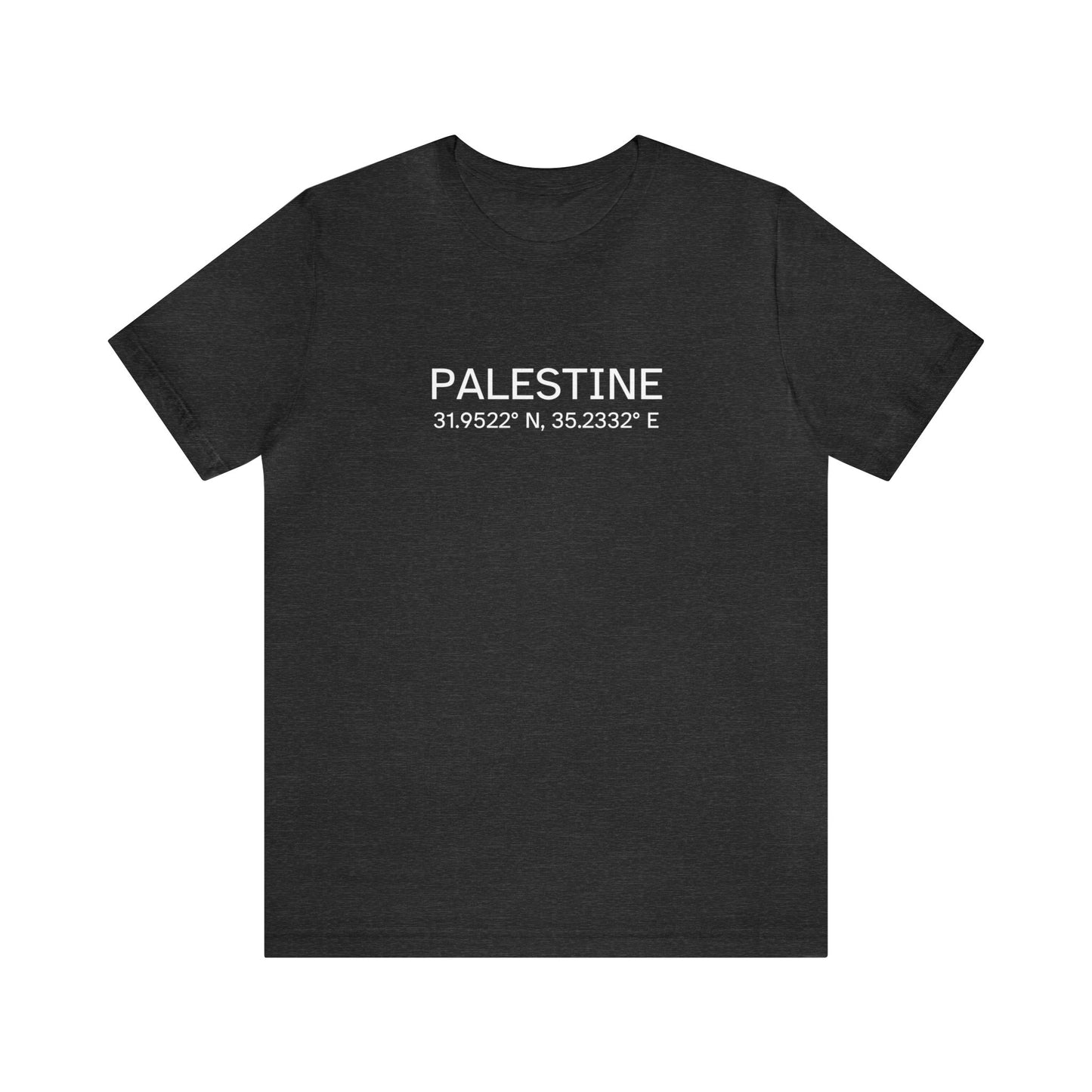 Adult | Palestine Coordinates | Short Sleeve Tee