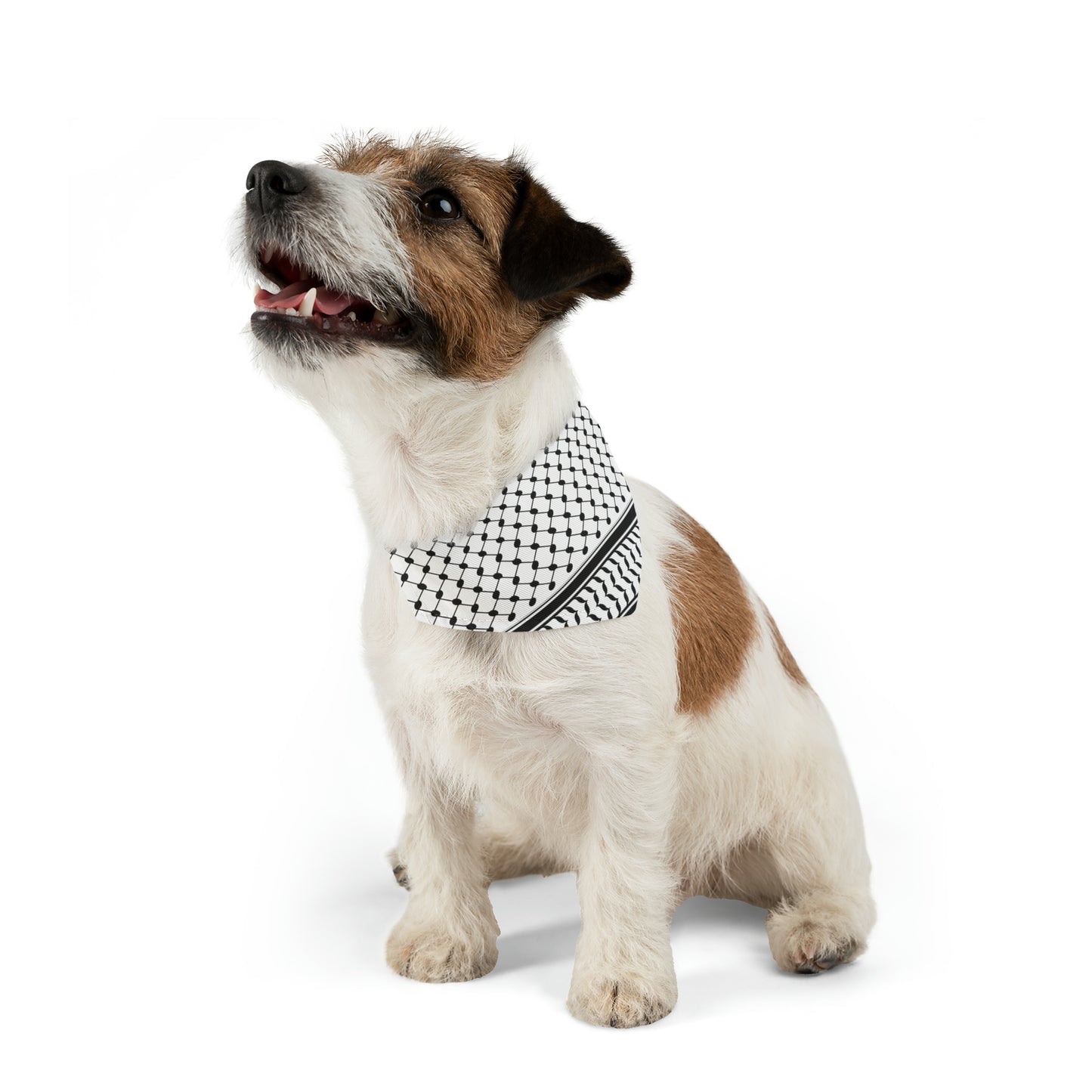 Cats | Dogs | Palestine Keffiyeh Bandana