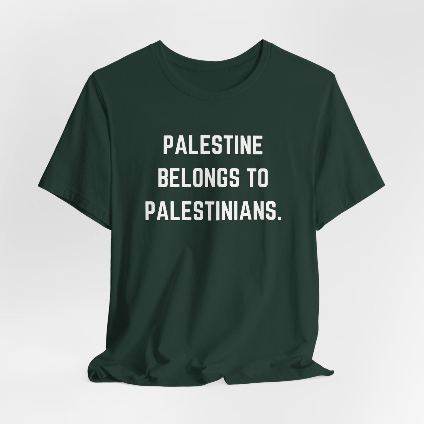 Palestine Belongs To Palestinians | Short Sleeve Tee