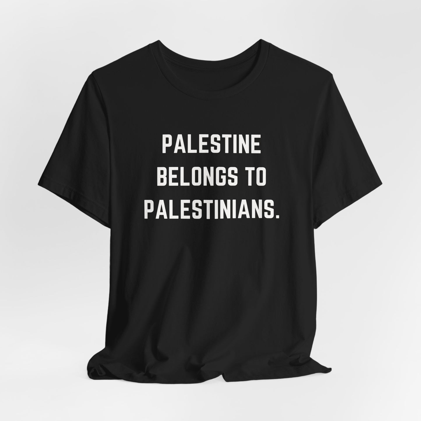 Palestine Belongs To Palestinians | Short Sleeve Tee