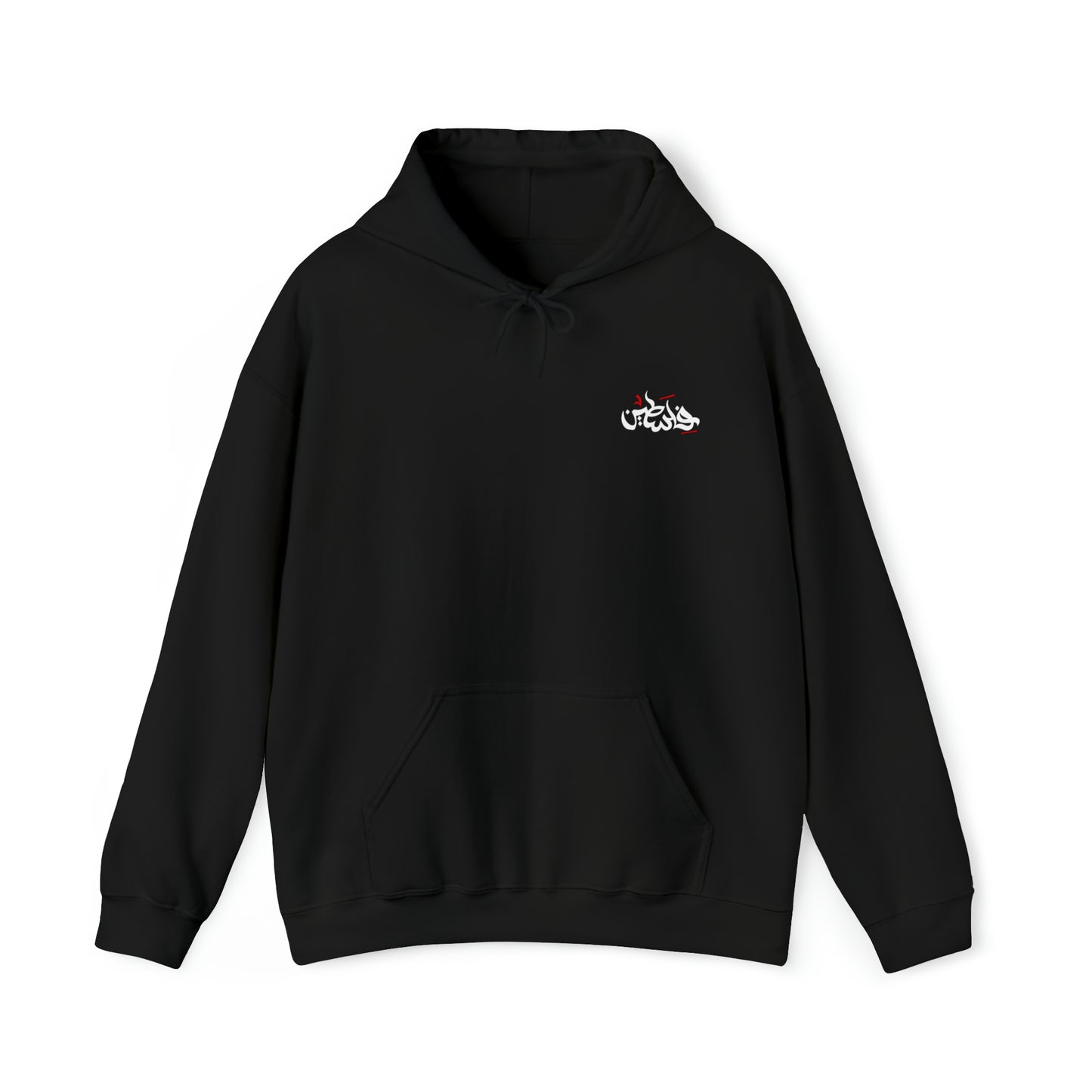 Adult | Front & Back | Palestine Map Hoodie