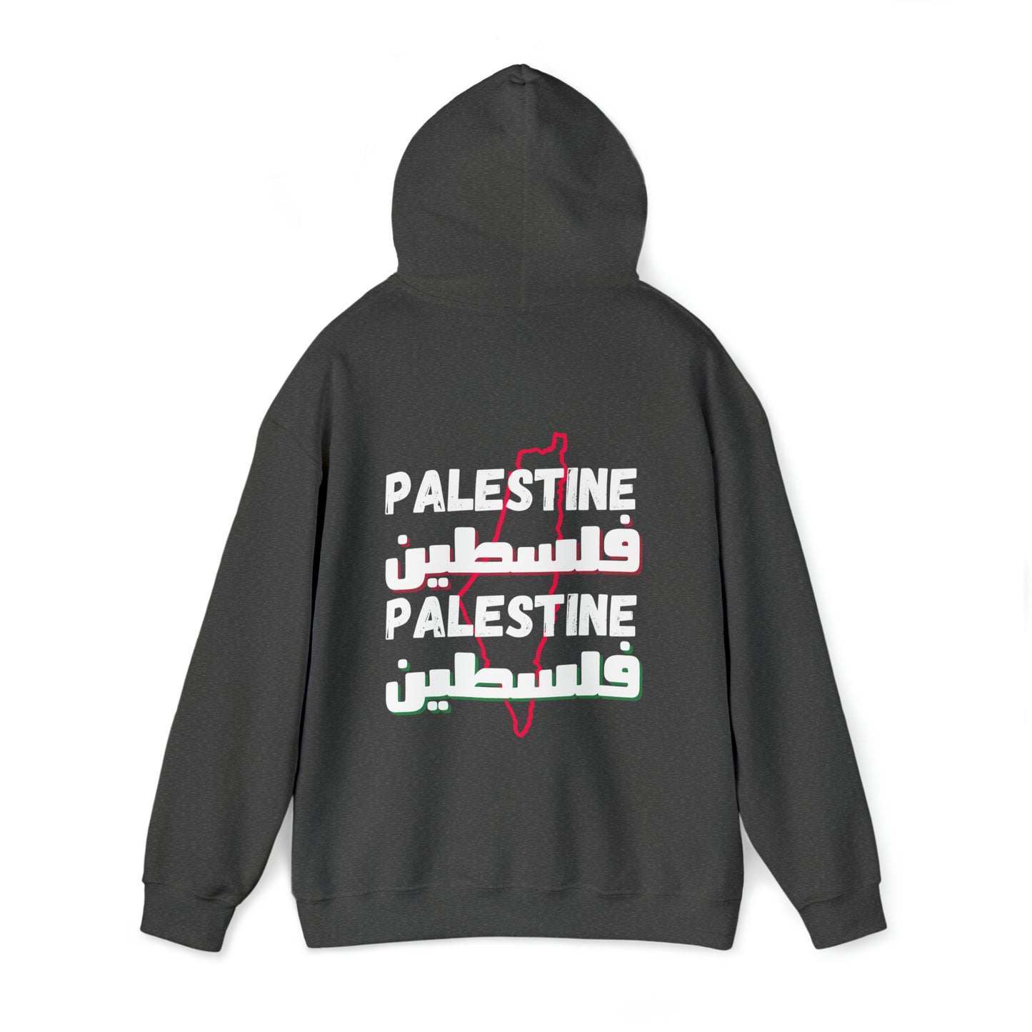 Adult | Front & Back | Palestine Map Hoodie