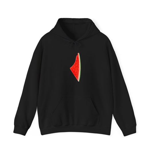Adult | Palestine Watermelon Map | Symbol Of Resistance | Hoodie