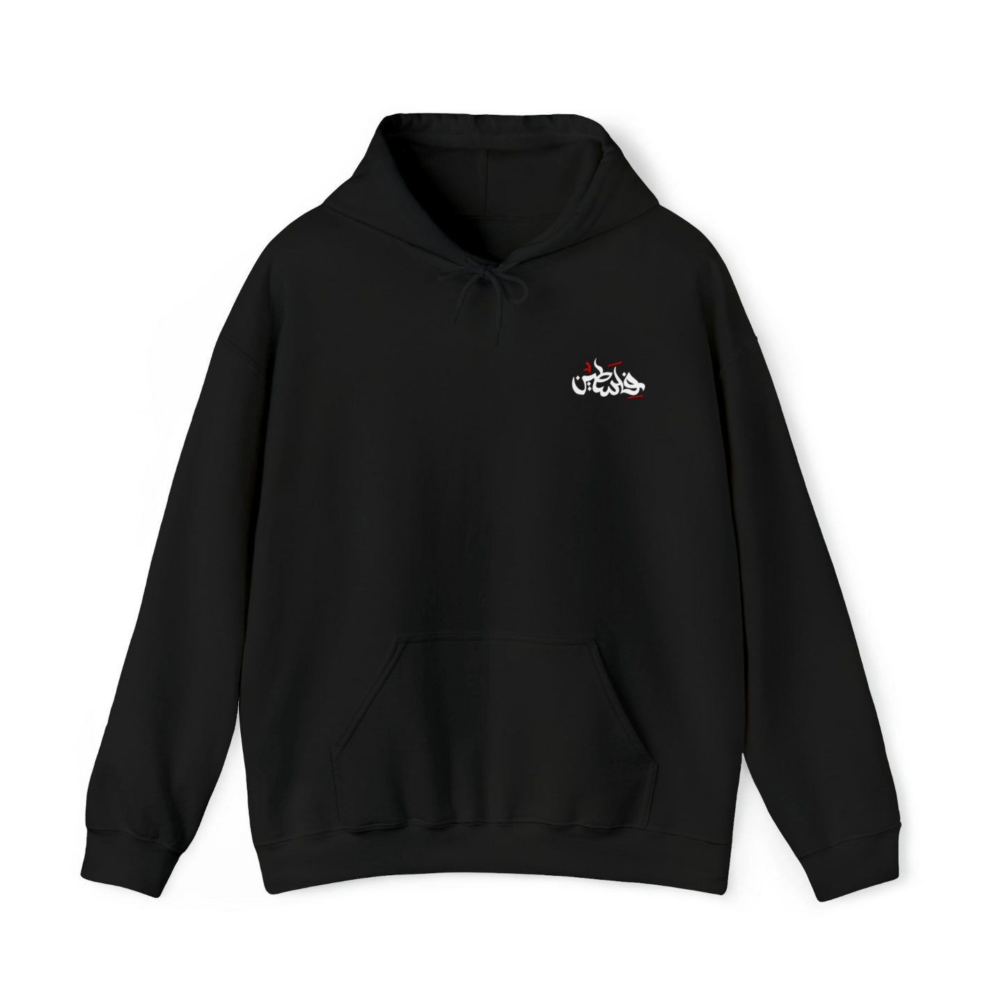 Adult | Front & Back | Palestine Map Hoodie |