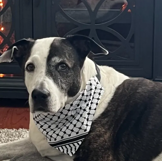Cats | Dogs | Palestine Keffiyeh Bandana